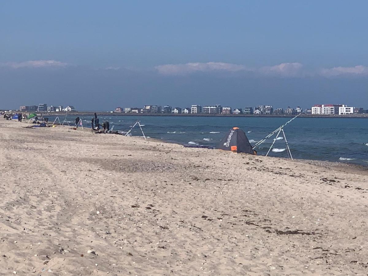 Segelund - Zeit Fuer Uns- Ruhige Und Sonnige Ferienwohnung Mit Terrasse Und Garten Nahe Strand Und Ostsee Schönhagen 外观 照片