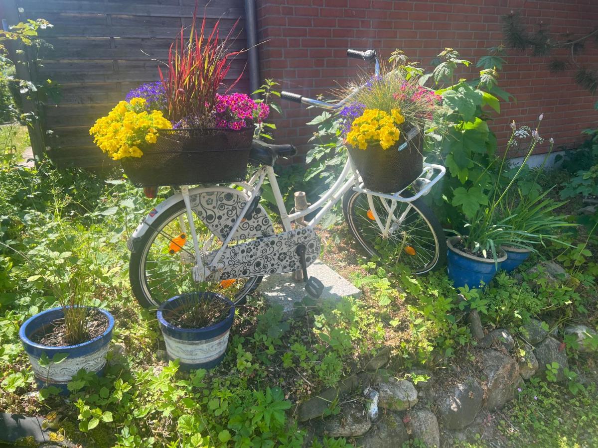 Segelund - Zeit Fuer Uns- Ruhige Und Sonnige Ferienwohnung Mit Terrasse Und Garten Nahe Strand Und Ostsee Schönhagen 外观 照片